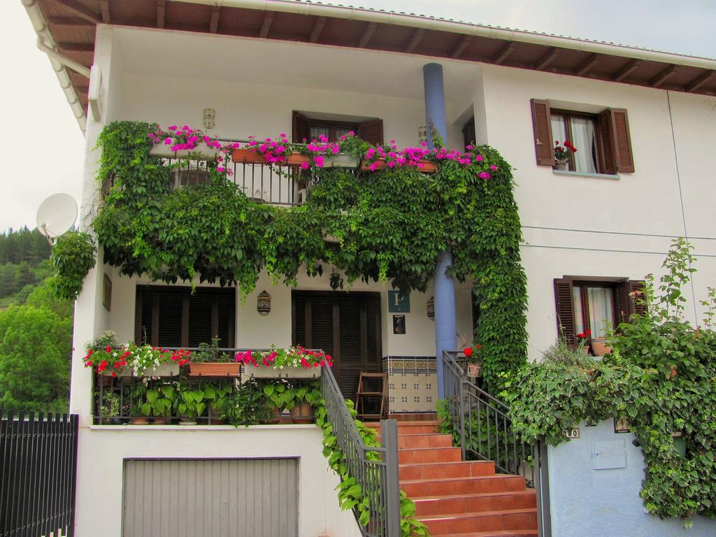 Pension El Peregrino De Larrasoana 外观 照片